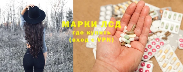 стафф Магадан