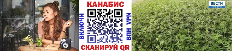 Купить где  Бор  Каннабис гибрид 